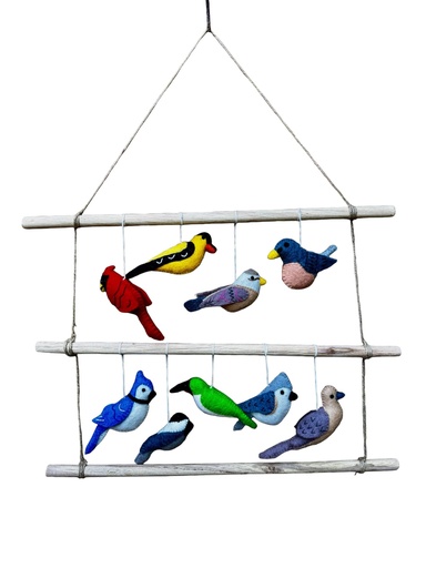 Oiseaux enchanteurs